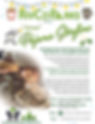 Virtual PJ storytime - The Mitten - Dec