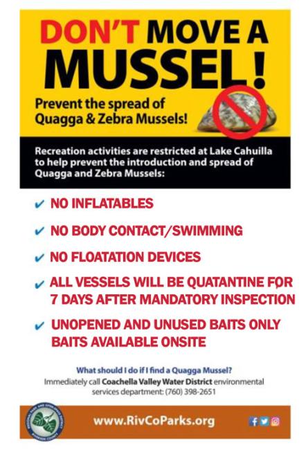 dont-Move-Mussel